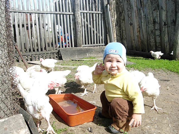 Кушайте, птички мои... Фото прислала семья ДЕГТЯРЕВЫХ.