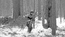 Берём ветки… Фото Виталия ЗЛОДЕЕВА