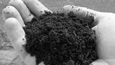 Земельная реформа в России затягивается уже на годы, на десятилетия. Фото с сайта gorodkanta.ru