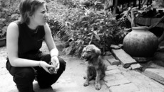 Мы в ответе за братьев наших меньших. Фото с сайта retriever-dog.ru