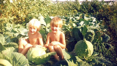 А нас нашли в капусте  сразу двух!