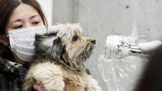 Контроль за уровнем радиации — тотальный. Фото с айта www.antif.ru