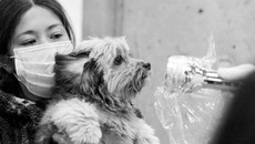 Контроль за уровнем радиации — тотальный. Фото с айта www.antif.ru