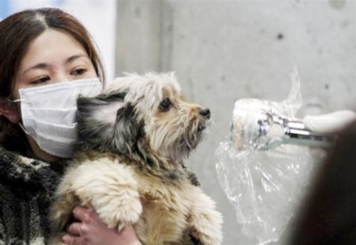 Контроль за уровнем радиации — тотальный. Фото с айта www.antif.ru