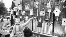 Домики для пернатых: красиво и уютно. Фото Сергея ДЯТЛОВА.