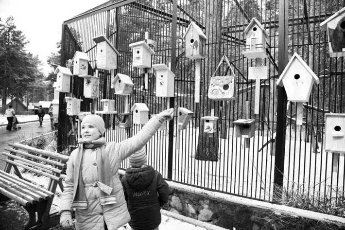 Домики для пернатых: красиво и уютно. Фото Сергея ДЯТЛОВА.