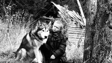 Главная тема фильма «Сибирь. Монамур» — милосердие и сострадание.