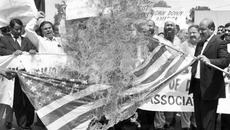 Как и ожидалось, мусульманский мир бурно отреагировал  на акцию американского священника. Фото с сайта fotoden.info