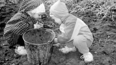 Как посеешь, так потом и покушаешь