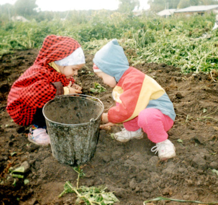 Как посеешь, так потом и покушаешь