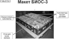 Макет БИОС-3.