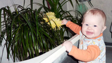 Ухаживать за цветами — теперь моя задача