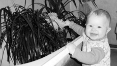 Ухаживать за цветами — теперь моя задача