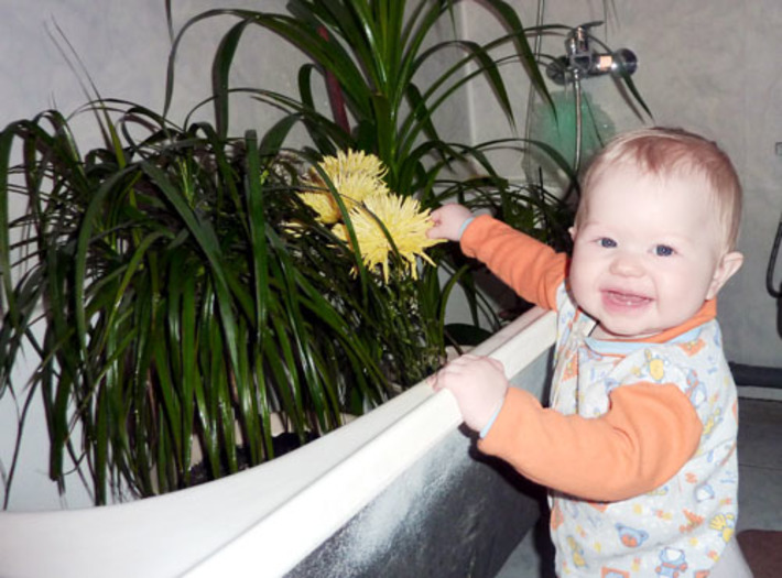 Ухаживать за цветами — теперь моя задача