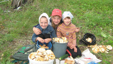 Найдите десять отличий