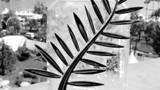 Канны, ветвь