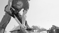 Чтобы  не покупать картошку, привезённую из Египта, лучше посадить свою. Фото Павла КОМАРОВА