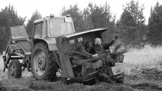 Посадка будущего леса. Фото из архива Карасукского лесничества