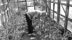 Иногда всю работу и за сезон не успеешь сделать. Так что берегите себя! Фото Веры ПАВЛОВОЙ