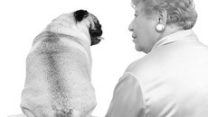 У любителей домашних животных, доверивших своего питомца ветеринару, всё же возникают поводы для расстройств.