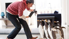 Кадр из фильма «Пингвины мистера Поппера»