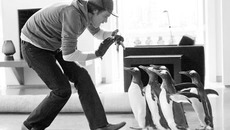 Кадр из фильма «Пингвины мистера Поппера»