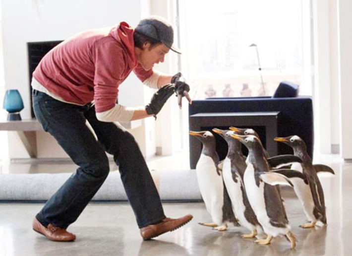 Кадр из фильма «Пингвины мистера Поппера»