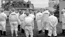 Авария на АЭС «Фукусима-1»  внесла серьезные изменения  в промышленные стратегии  Старого континента. Фото с  www.rambler.ru