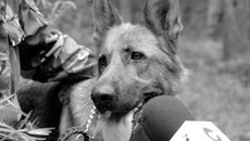 Еще и интервью приходится давать. Ничего не поделаешь — служба. Фото Павла КОМАРОВА