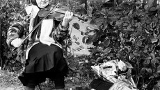 Фото А. ГРИГОРЬЕВА (www.photosight.ru).Просто хобби...