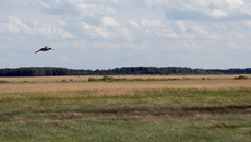 Здесь «куликово поле». Фото Валентины МАЛЬЦЕВОЙ