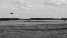 Здесь «куликово поле». Фото Валентины МАЛЬЦЕВОЙ