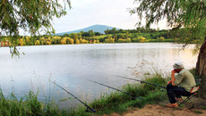 Если вы торговали рыбой и нигде официально  не были трудоустроены,   как вам начислят пенсию? Фото с сайта photosight.ru