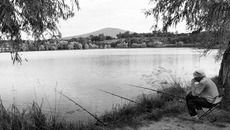 Если вы торговали рыбой и нигде официально  не были трудоустроены,   как вам начислят пенсию? Фото с сайта photosight.ru