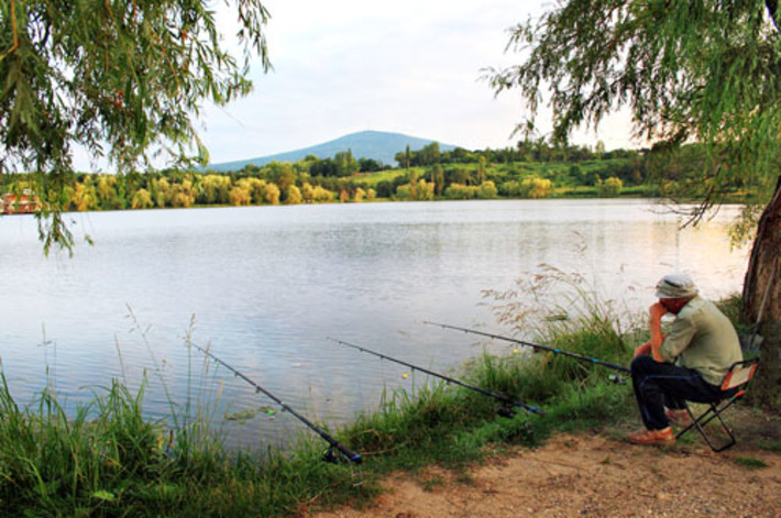 Если вы торговали рыбой и нигде официально  не были трудоустроены,   как вам начислят пенсию? Фото с сайта photosight.ru