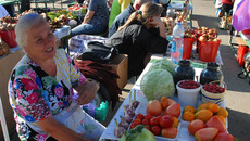 Садоводы выращивают львиную долю производимой в области плодоовощной продукции. Фото Михаила ПЕРМИНА