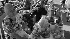 Садоводы выращивают львиную долю производимой в области плодоовощной продукции. Фото Михаила ПЕРМИНА