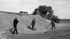 Зерноток хозяйства «Вознесенское» только начал принимать первые тонны зерна нового урожая. Фото Марины ЛУПЕЙКЕНЕ