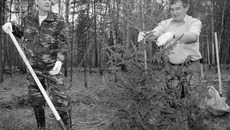 Василий Юрченко и Сергей Швец: поднимаем леса вместе. Фото Павла КОМАРОВА