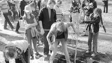 Двадцать пять молодых берёз высадили школьники в сквере имени Юрия Гагарина. Фото Павла КОМАРОВА