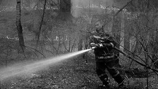 Реализация закона позволит обеспечить пожарную безопасность лесных массивов и отдельных сёл. Фото с сайта nevsliga.ru