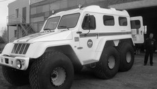 Фото Ольги ВАСИЛЕНКО