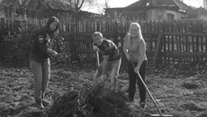 Добровольные помощники. Фото пресс-службы администрации Первомайского района Новосибирска