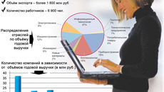 Инфографика Виктора БОЯРОВА по данным ОАО «Технопарк Новосибирского Академгородка»