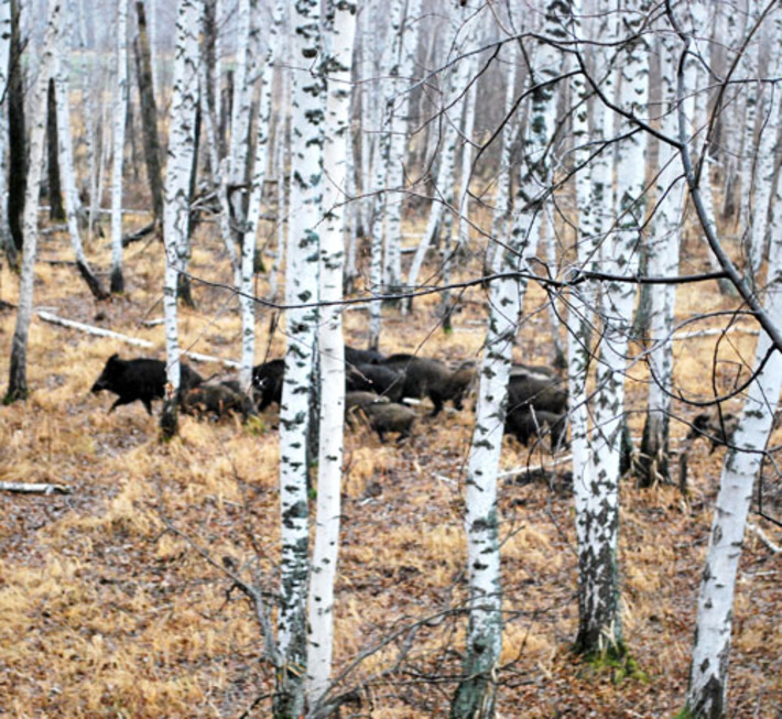 Осваиваем территорию. Фото Александры КАРАФИНКИ