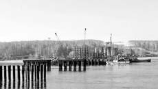 Фото Михаила ПЕРМИНА