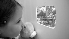 На выставке представлено около 200 фарфоровых, плюшевых, железных, стеклянных, деревянных, тряпичных и прочих-прочих «спутников жизни». Фото Михаила ПЕРМИНА