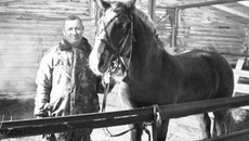 Фото Ольги ЛЕВИНОЙ