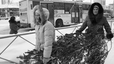 С драгоценной ношей. Фото Михаила ПЕРМИНА