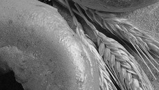 Фото с сайта www.mythemes.ru